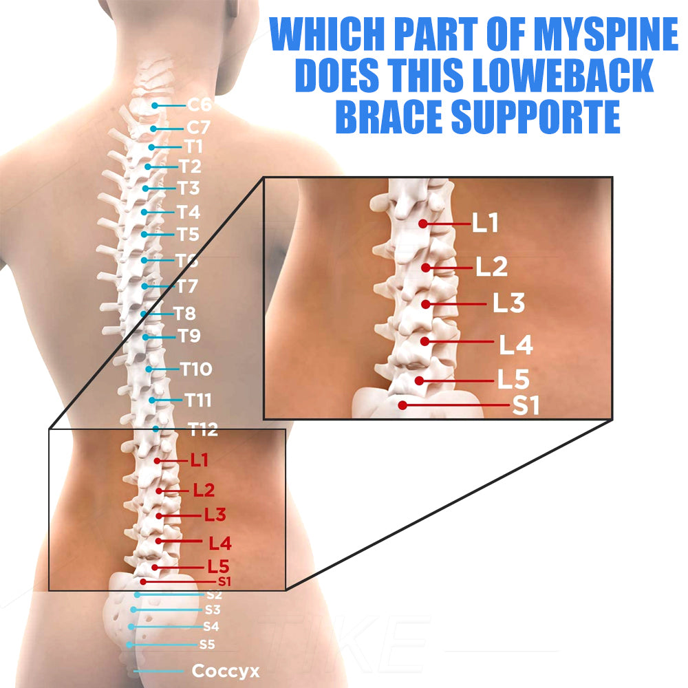 Pulley Type Back Posture Correction Belt
